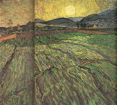 Vincent Van Gogh Enclosed Field with Risihng Sun (nn04) china oil painting image